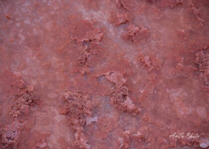 Texture