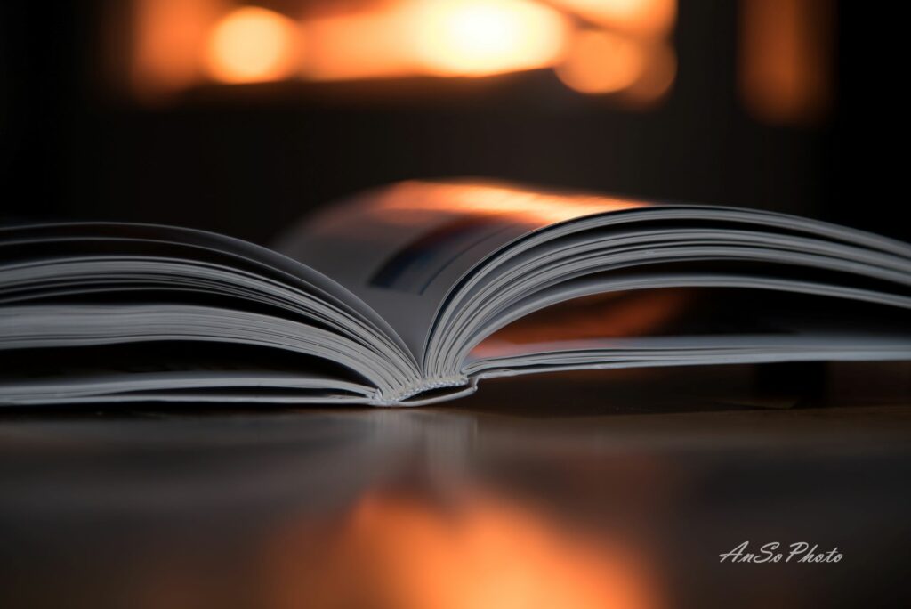 Mise au point sur un livre partageant la valorisation d'une lumière particulière et tamisé.
